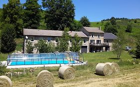 Le Moulinage Des Ruches